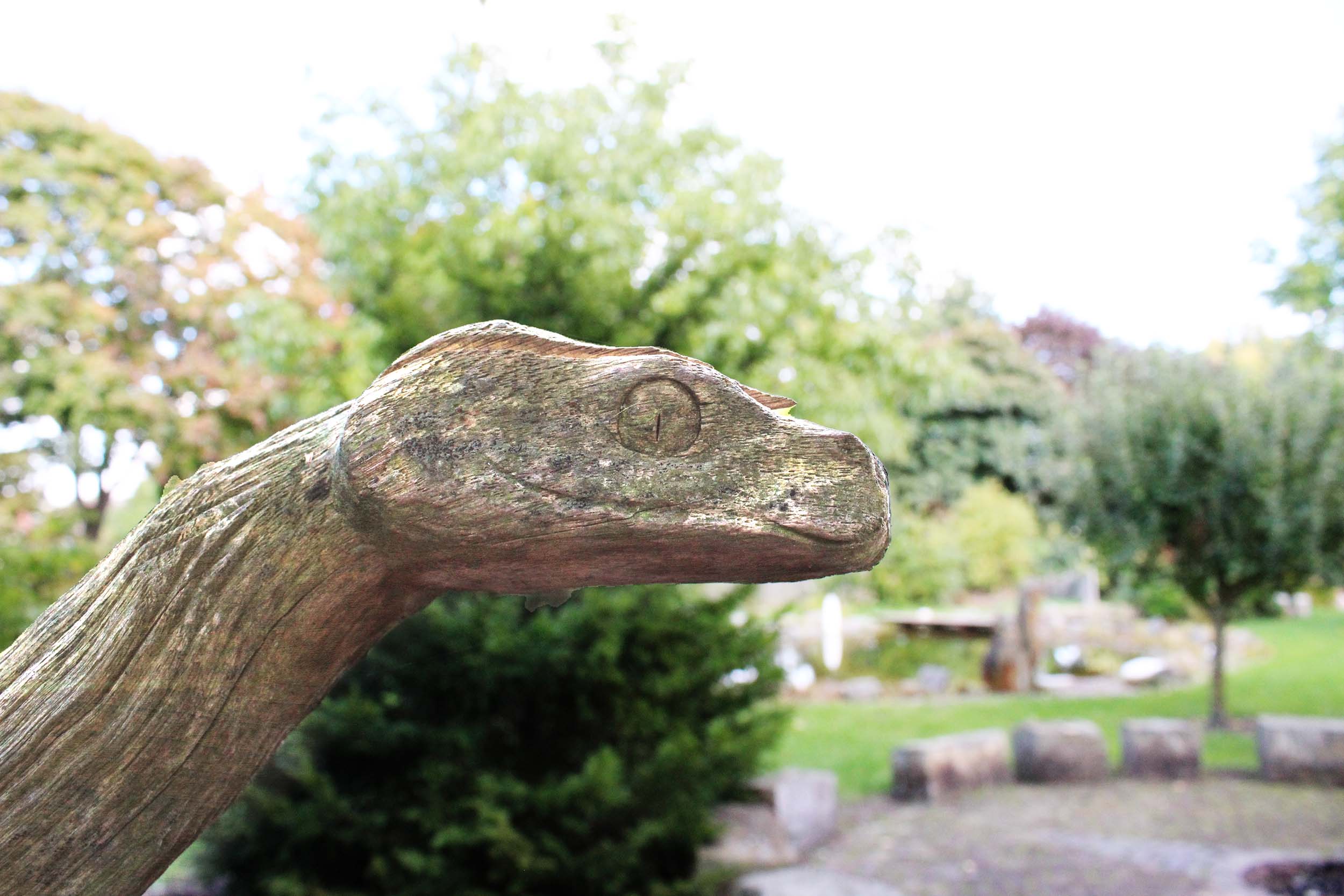 Holzschlange im schamanischen Garten von Monika Meyer Holzschlange im schamanischen Garten von Monika Meyer