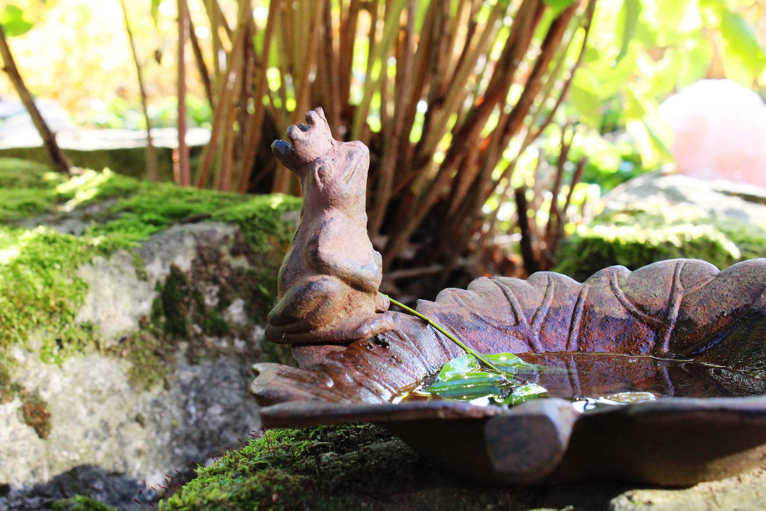 Figur des Froschkönigs, Blick in den Teich des schamanischen Gartens Figur des Froschkönigs, Blick in den Teich des schamanischen Gartens