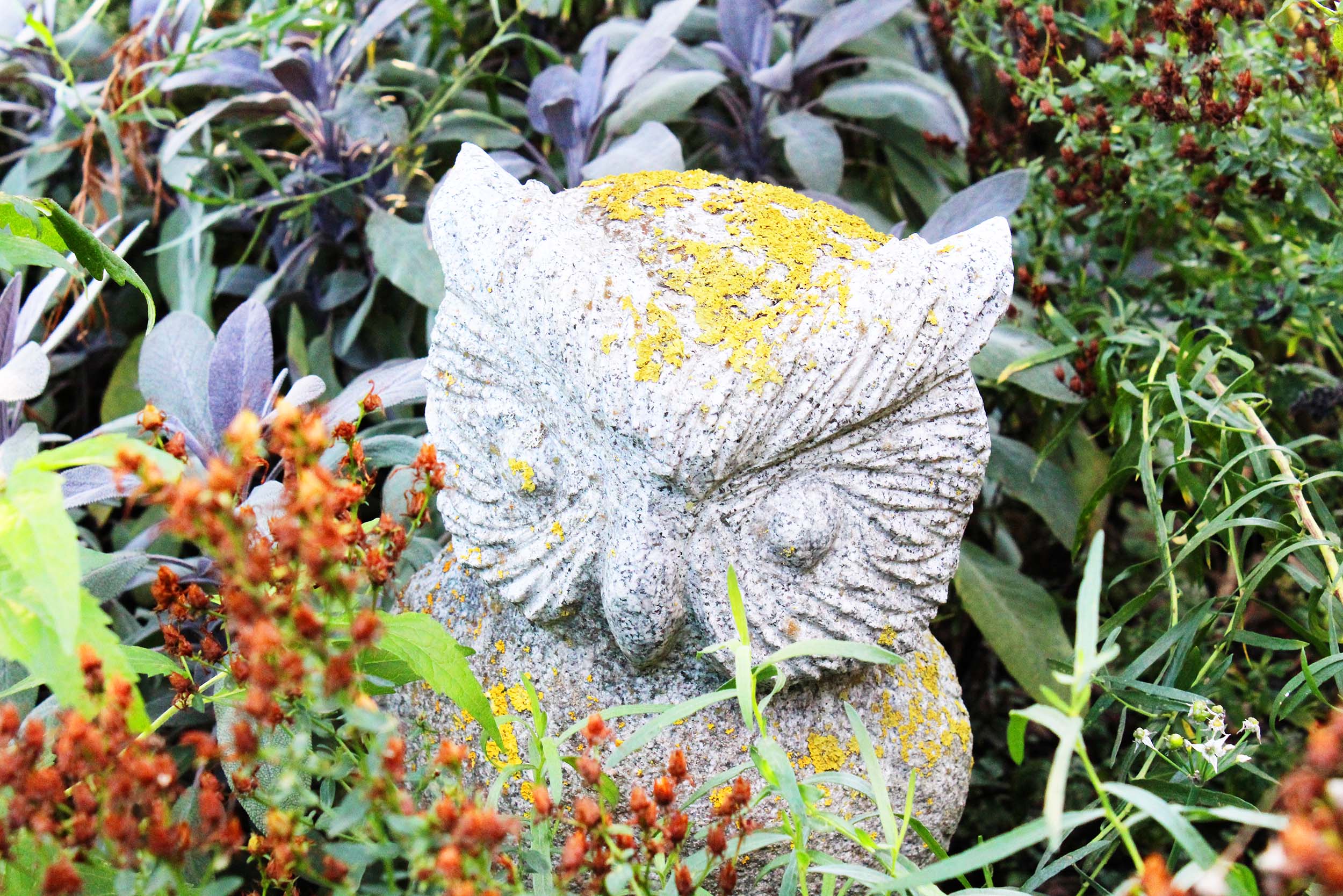 Steineule im schamanischen Garten von Monika Meyer